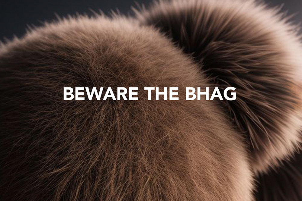 Beware The BHAG